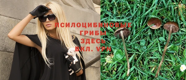 прущие крисы Няндома