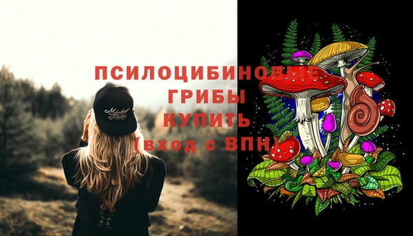 круглые Вяземский