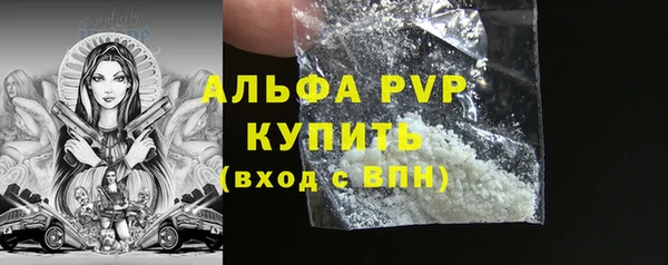 гидра Новодвинск