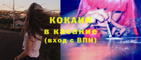 прущие крисы Няндома