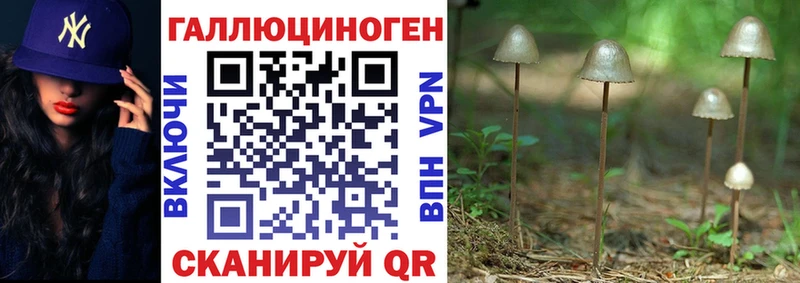 Псилоцибиновые грибы Psilocybe  где купить наркоту  Белый 